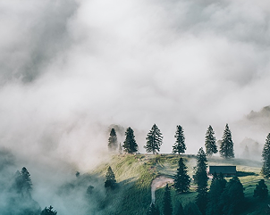 Beautiful Mountain Environment